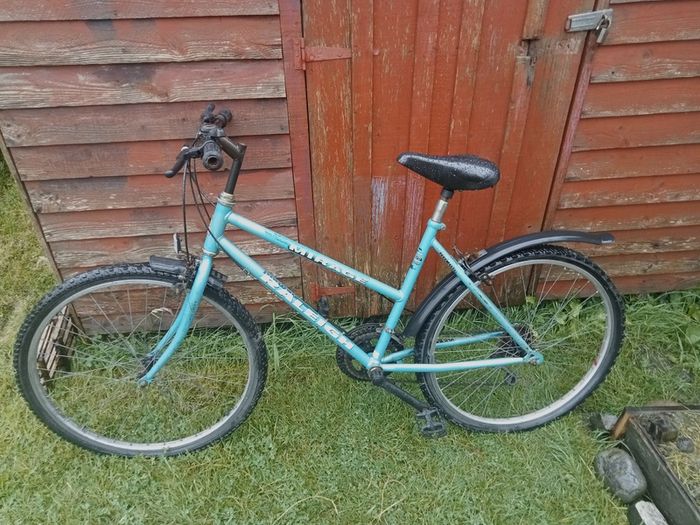 Free Bike for frame and parts