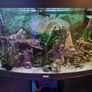 160 litre fish tank with fish Image 3
