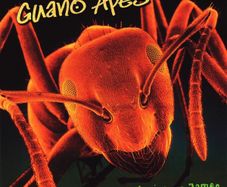 Guano Apes - Don't Give Me Names