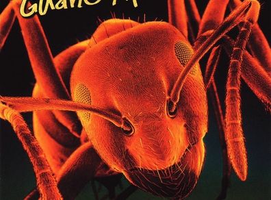 Guano Apes - Don't Give Me Names