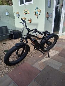 Electric bike