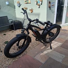 Electric bike