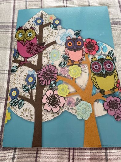 Colourful Owl Wall Art , FREE