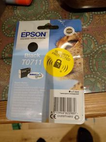 Epson Ink t07100