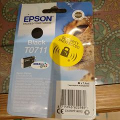 Epson Ink t07100