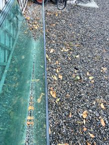 Tempered Glass Panel