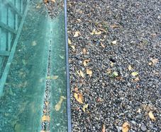 Tempered Glass Panel