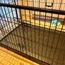 Petworld Premium Giant Dog Crate, Sliding Doors, Foldable, 122cm Image 2
