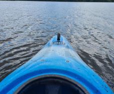 Kayak