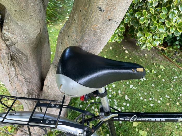 Trekking bike
