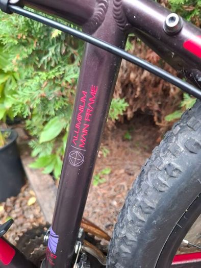Mountain Bike