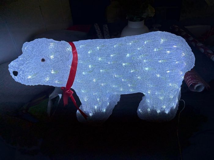 Outdoor polar bear