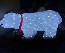 Outdoor polar bear