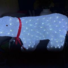 Outdoor polar bear