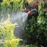 NEW SALE | NEW Pump Action Pressure Sprayer 5 Litre Image 5