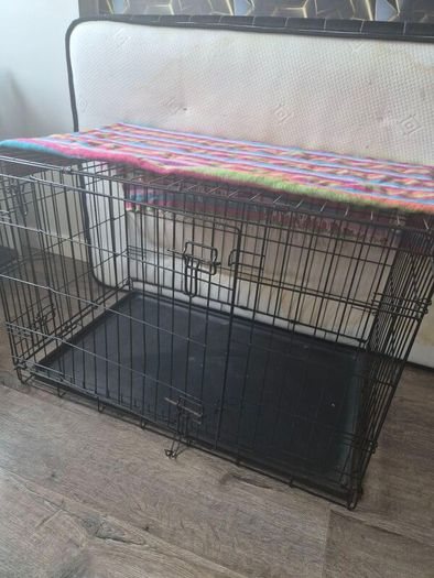 dog crate