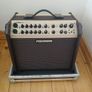 Fishman Loudbox Artist and Thon Flight case Image 9