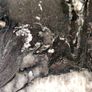 Granite table Image 10