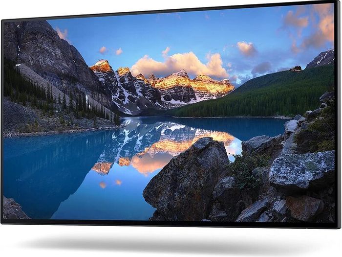 DELL U2422H UltraSharp 24" FHD (1920x1080) LCD IPS Pivot Monitor/ Used