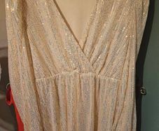 sparkley dress