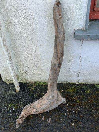 Substantial Collection of Old Bog Oak. Delivery by van can be arranged.