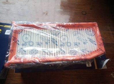 Dacia /Renault / Nissan air intake and cabin filter