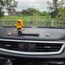Sliding Panda Skateboard Car Dashboard Ornament Image 4