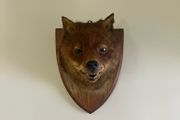 Antique Taxidermy Red Fox Mask