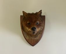 Antique Taxidermy Red Fox Mask