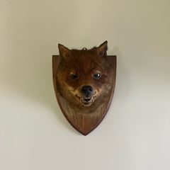 Antique Taxidermy Red Fox Mask