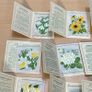 Kensitas Medium Silk Cigarette Cards Flowers 1934 - 31 Medium and 4 Small Image 2