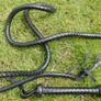 100" Plaits Genuine Top Grain Leather Heavy Duty Bullwhip Professional BULLWHIP Cracking Farm Gift , Fetish Toy Image 4