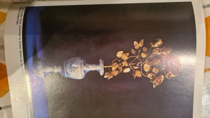 I Saw Our Lady. By Tom Neary. 1981. Large Volume Book In Very Good Condition.