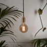 2 New Gaia Plug-In Pendants by Tala with Dimmible Light bulbs Image 3