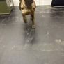 Vintage Chinese Tang-Style Metal Horse Figurine Image 2