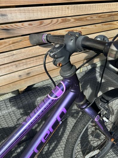 Carrera kids bike