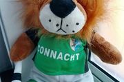 Vintage CONNACHT GAA Lion Mascot / Teddy