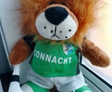 Vintage CONNACHT GAA Lion Mascot / Teddy