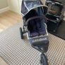 Buggy Image 10