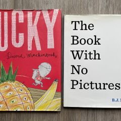 Children's Books - 2 BRILLIANT BOOKS - Lucky & The Book With No Pictures