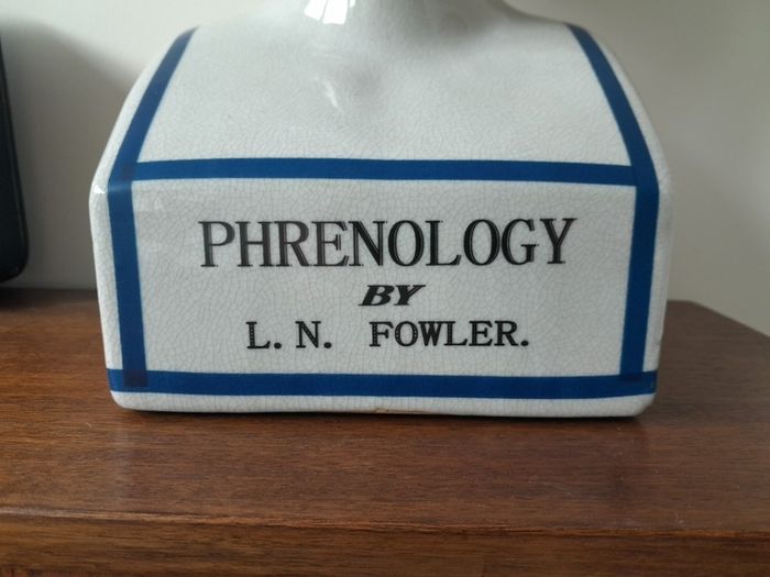 L.N. Fowler Phrenology Head 40cm