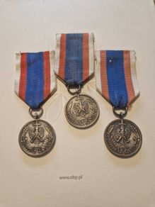 Badge "In the Service of the Nation"