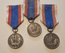 Badge "In the Service of the Nation"