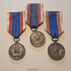 Badge "In the Service of the Nation"