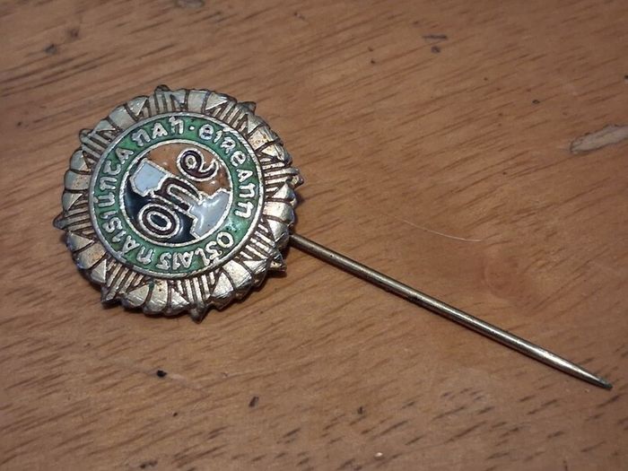 irish veteran ex service military lapel  pin