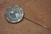irish veteran ex service military lapel  pin