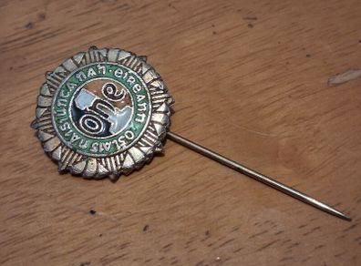 irish veteran ex service military lapel  pin