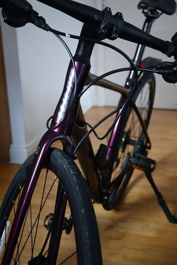 Giant Fastroad - SL1 - Medium - Wine Purple Road Bike