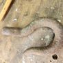 vintage iron hook Image 3