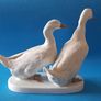 Ducks - Large Image 3